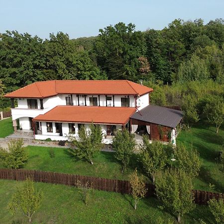 Pensiunea Emelys, Iasi Barnova 外观 照片