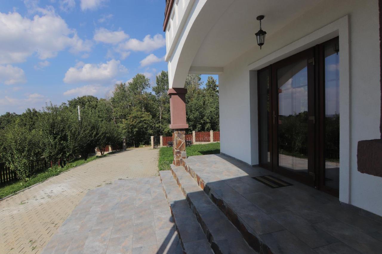 Pensiunea Emelys, Iasi Barnova 外观 照片