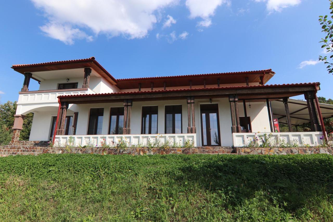 Pensiunea Emelys, Iasi Barnova 外观 照片