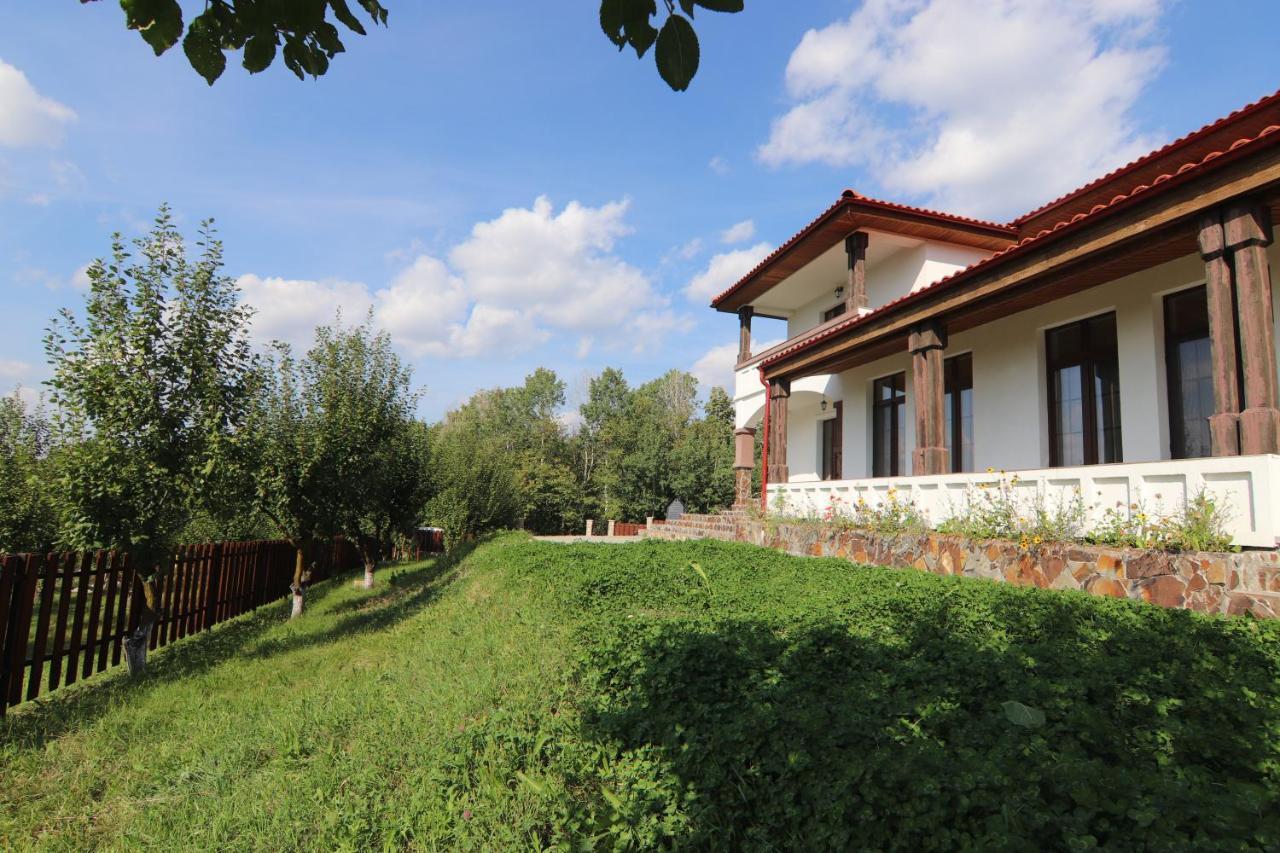 Pensiunea Emelys, Iasi Barnova 外观 照片