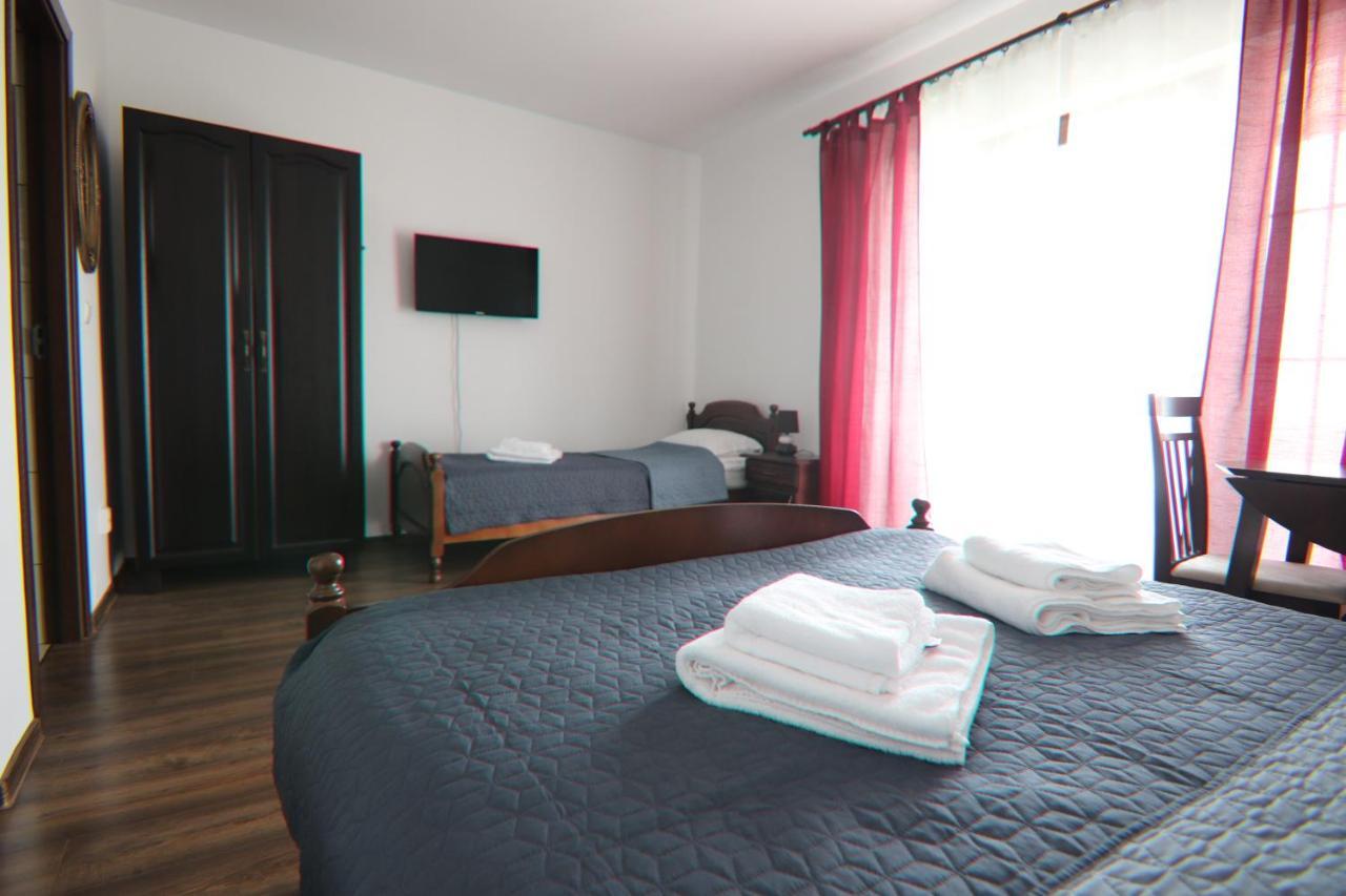 Pensiunea Emelys, Iasi Barnova 外观 照片