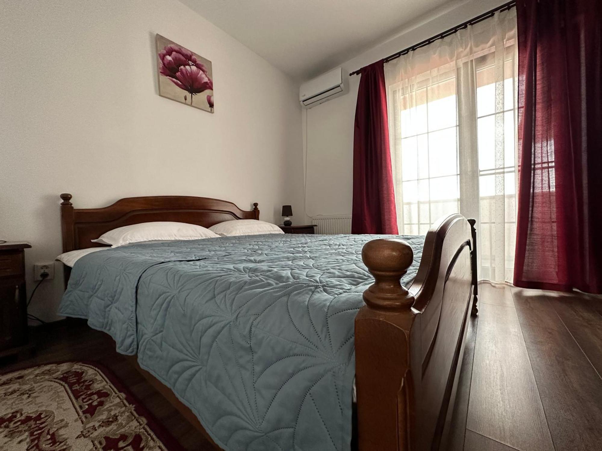 Pensiunea Emelys, Iasi Barnova 外观 照片