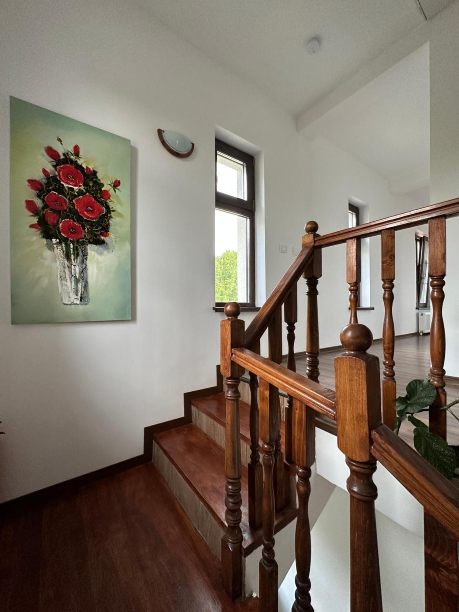 Pensiunea Emelys, Iasi Barnova 外观 照片