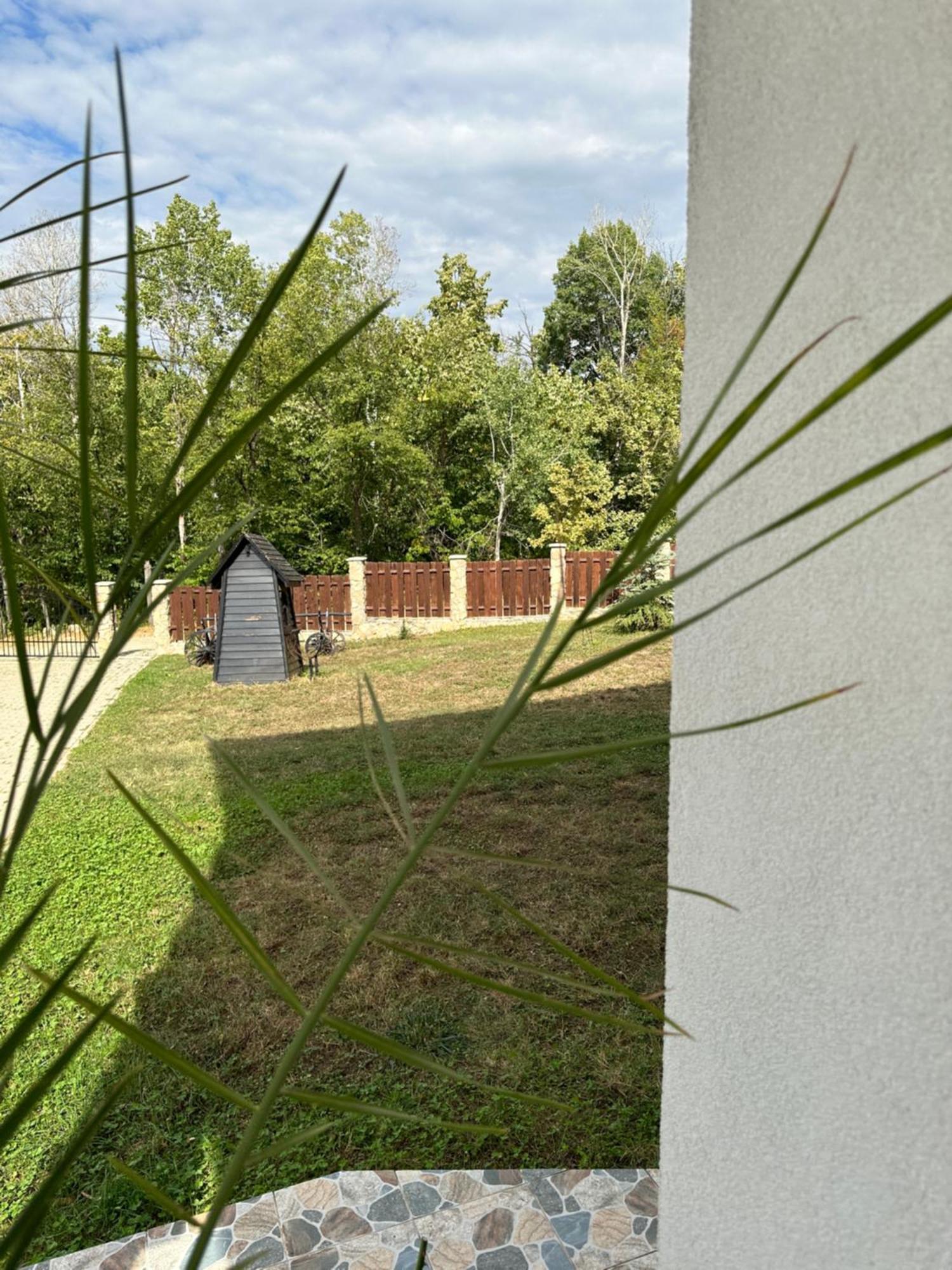 Pensiunea Emelys, Iasi Barnova 外观 照片