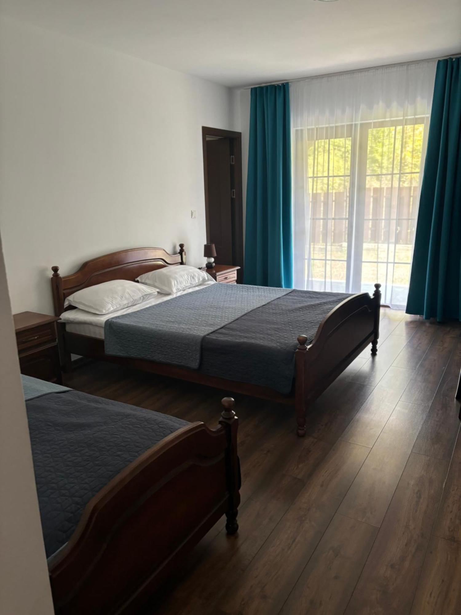 Pensiunea Emelys, Iasi Barnova 外观 照片