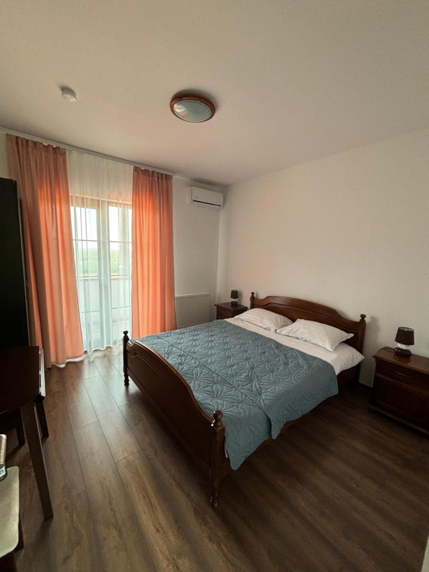 Pensiunea Emelys, Iasi Barnova 外观 照片