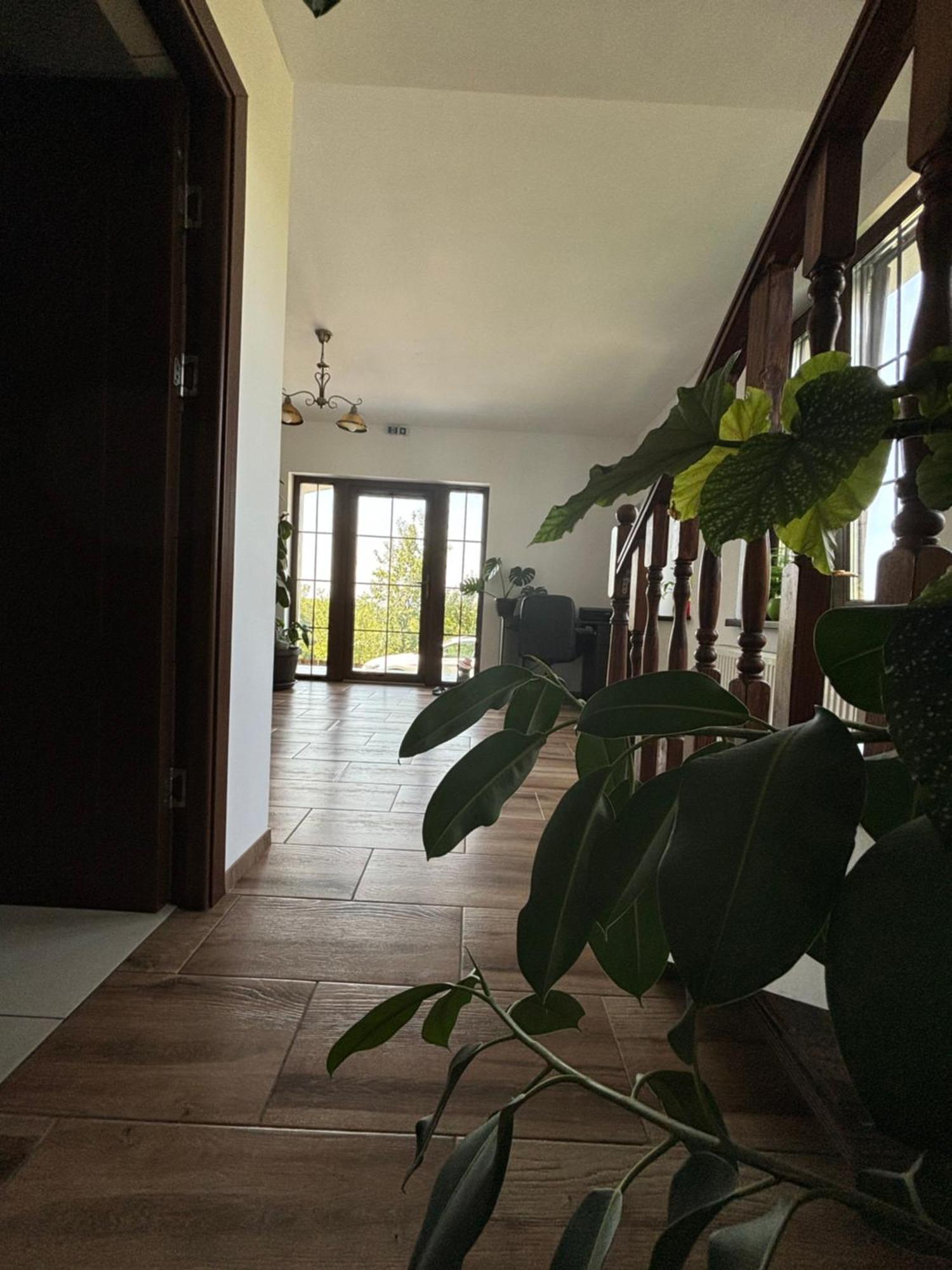 Pensiunea Emelys, Iasi Barnova 外观 照片