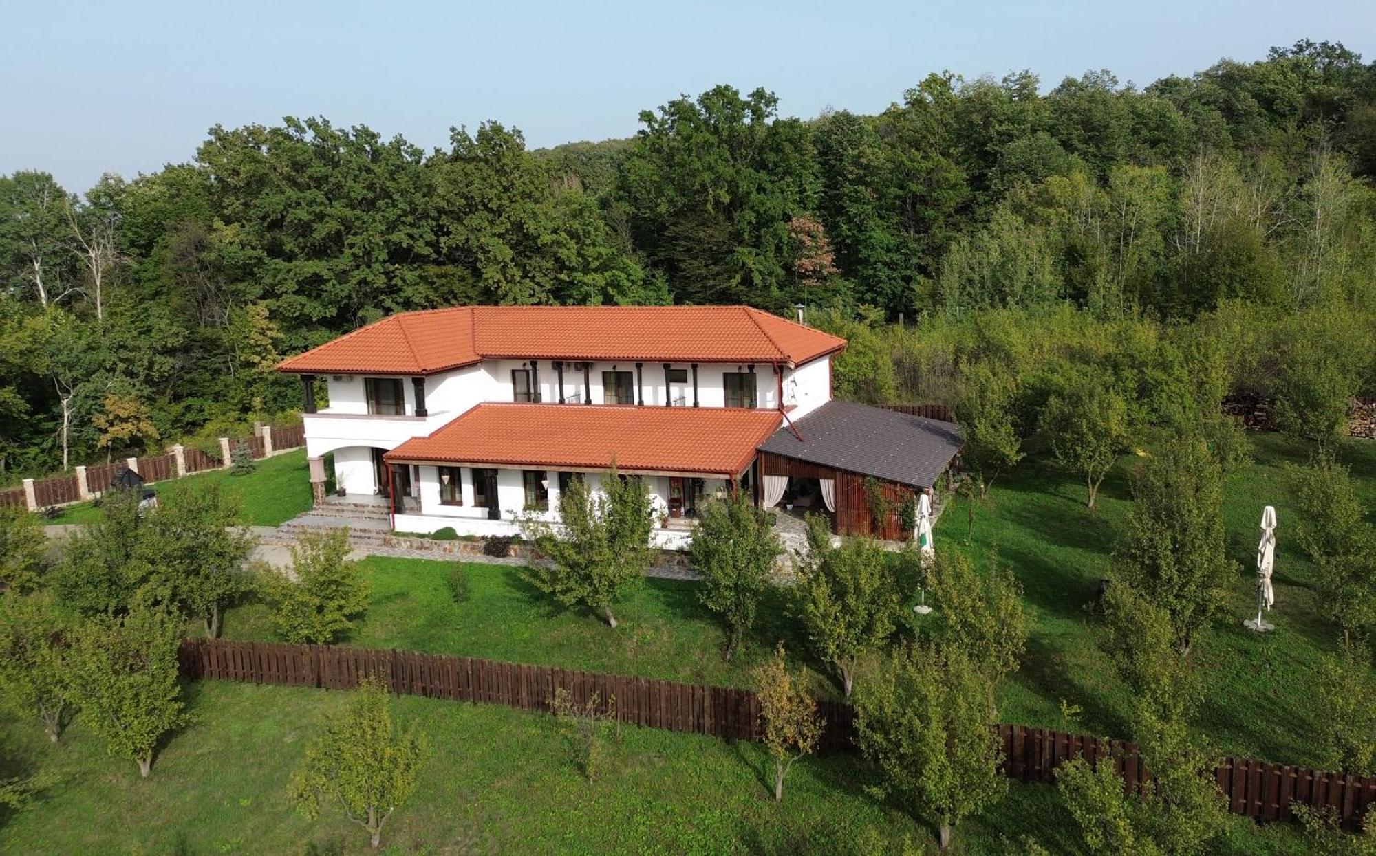 Pensiunea Emelys, Iasi Barnova 外观 照片