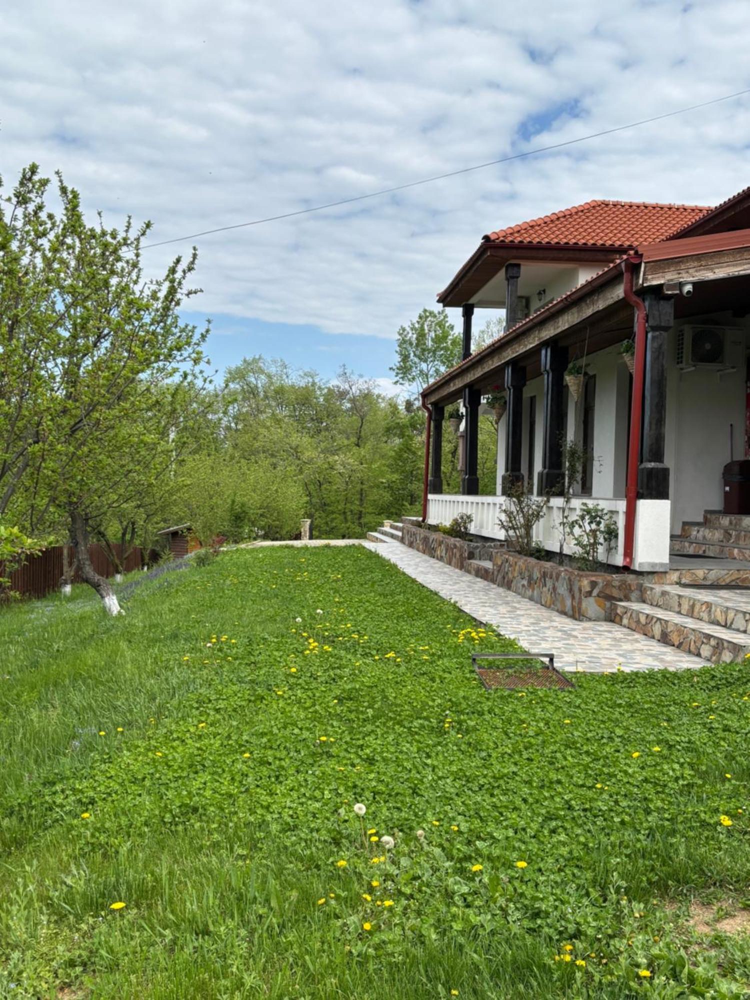 Pensiunea Emelys, Iasi Barnova 外观 照片