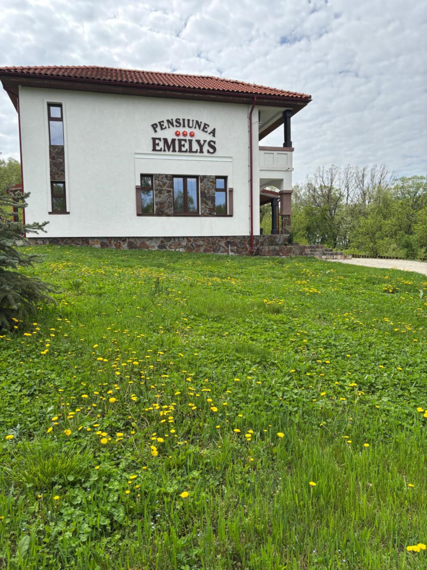 Pensiunea Emelys, Iasi Barnova 外观 照片